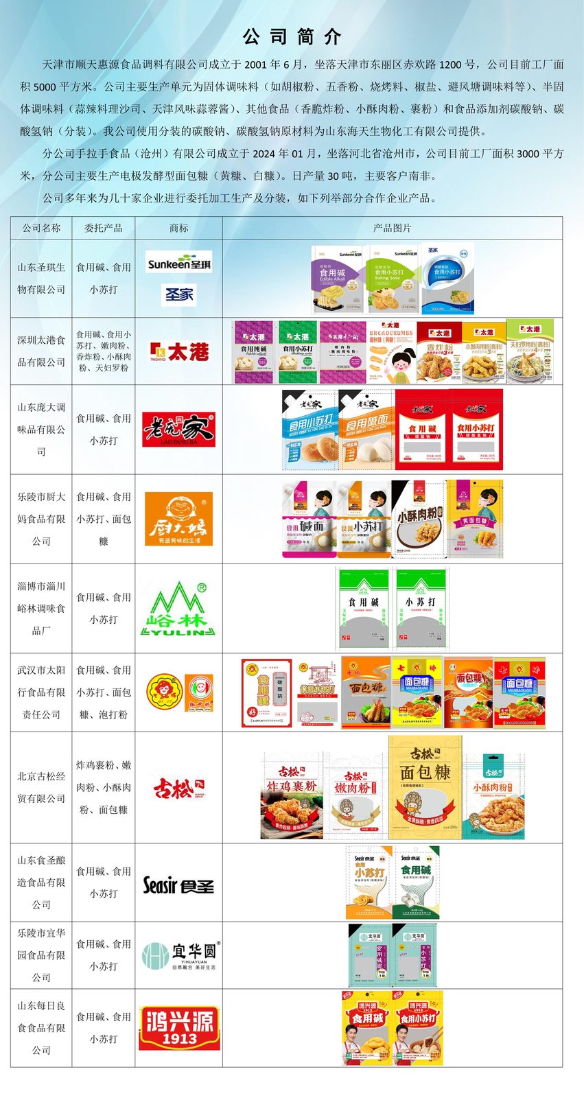 公司简介文件原件